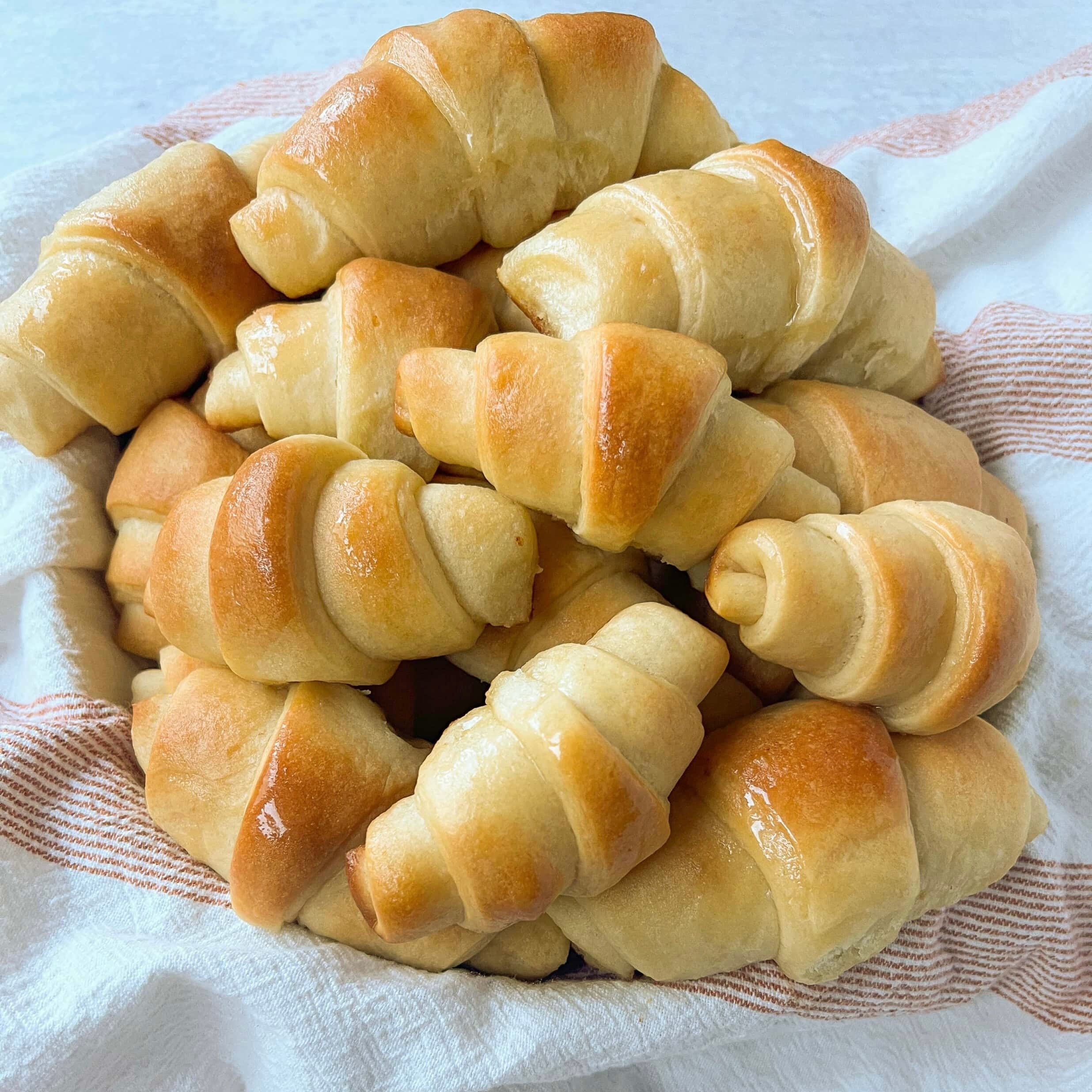 Dinner Rolls